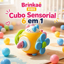 Cubo Sensorial 6 em 1 Bebê